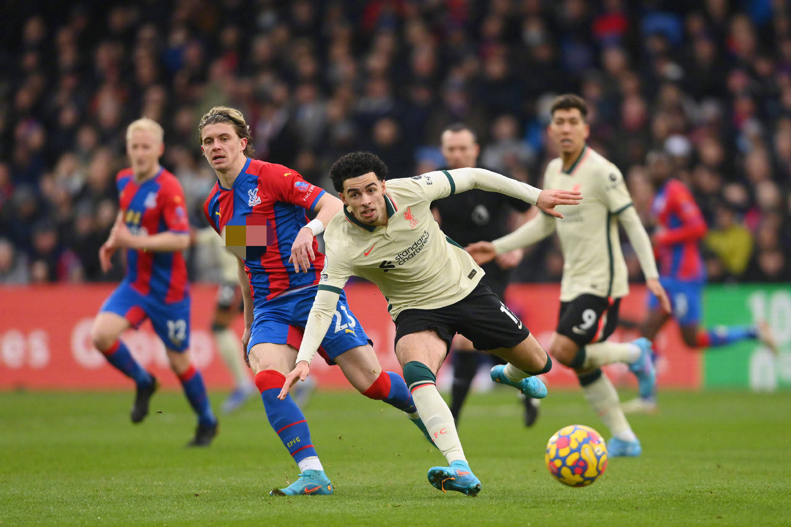 和体育多样 和体育多样